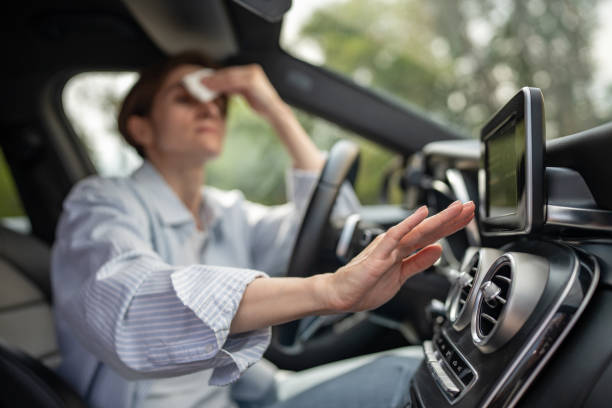 Best Thermostats and Smart Controls in Deville, AL
